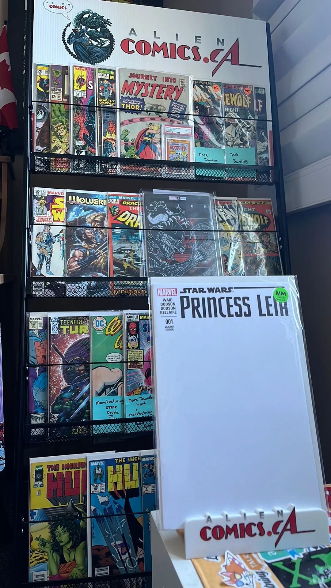 Princess Leia (#1B Blank Variant NM)