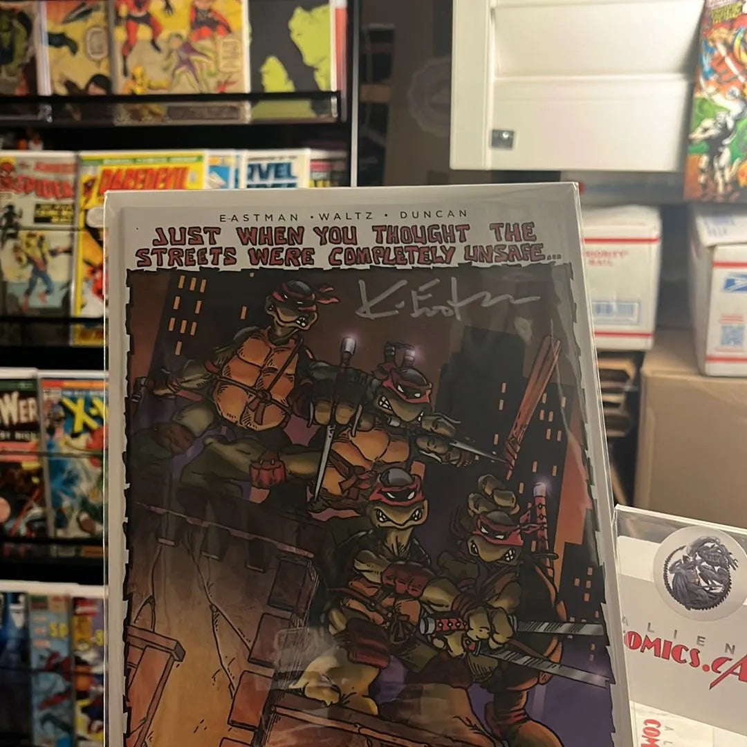 Teenage Mutant Ninja Turtles (#1 Original Red Headbands Eastman & Laird Homage Signed Kevin Eastman w/COA NM)