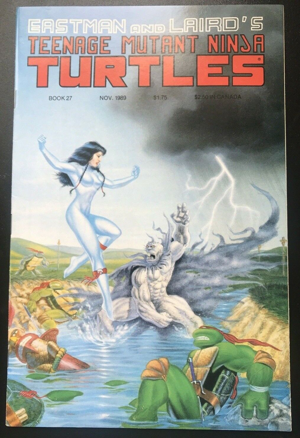 TEENAGE MUTANT NINJA TURTLES 27 Mirage Studios 1989 1st Printing Rare HIGH GRADE - aliencomics.ca