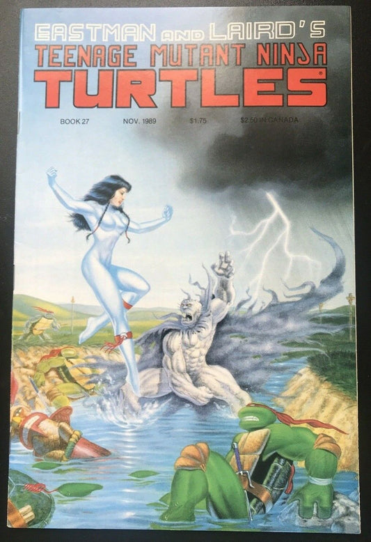 TEENAGE MUTANT NINJA TURTLES 27 Mirage Studios 1989 1st Printing Rare HIGH GRADE - aliencomics.ca