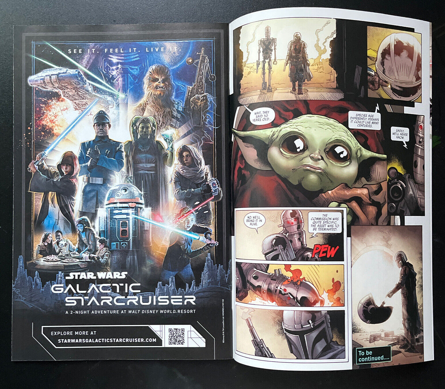 STAR WARS Mandalorian 1 Concept Variant Marvel 1st Din Djarin & Grogu HIGH GRADE - aliencomics.ca