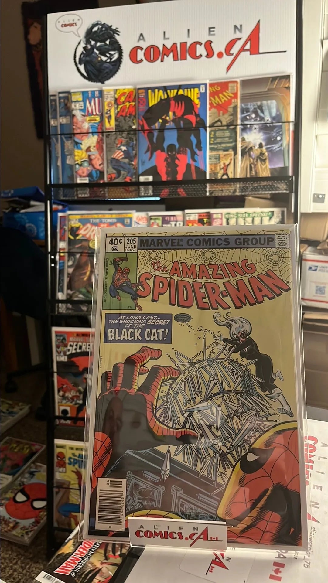 Amazing Spider-man (#205 Newsstand Edition Black Cat app. FN/VF)