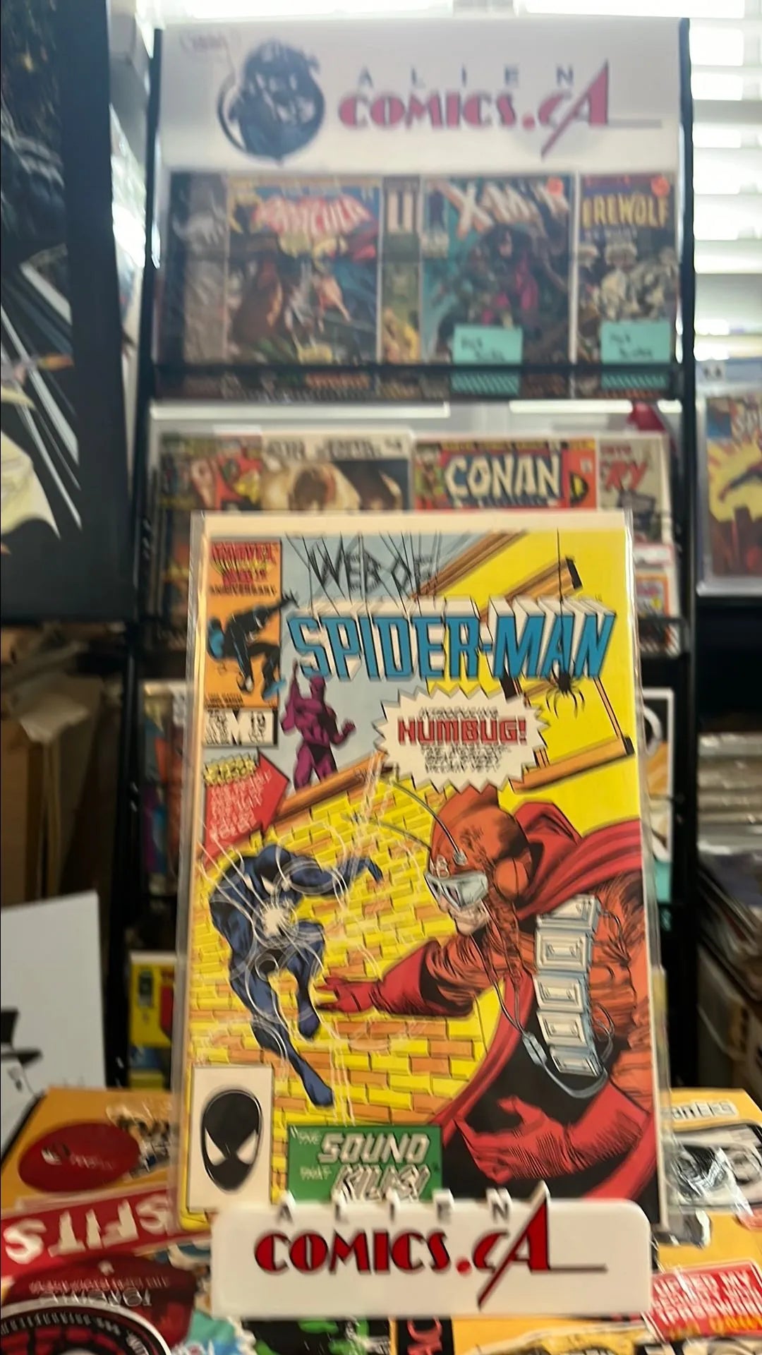 Web of Spider-man (#19 Direct Edition The Sound The Kills! 1st app. Humbug 1st cameo app. Solo FN/VF)