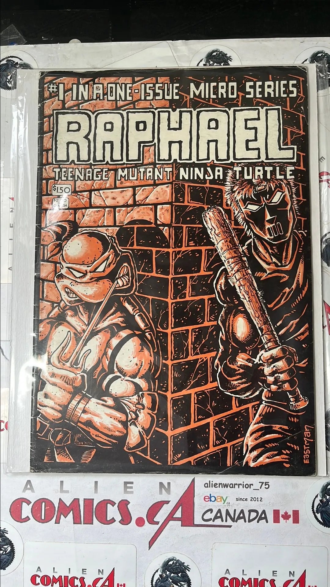 Raphael: Teenage Mutant Ninja Turtle (One-Shot Mirage Studios 1984 1st app. Casey Jones 1st TMNT Spin-Off Series VG)