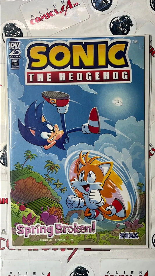 Sonic the Hedgehog (One-Shot Marvel 2025 Retail Incentive Variant Spring Broken NM)