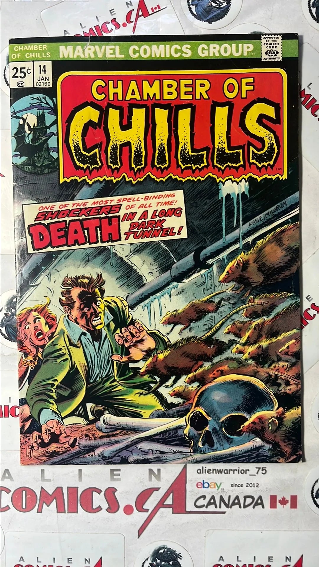 Chamber of Chills (#14 Marvel 1974 VG/FN)