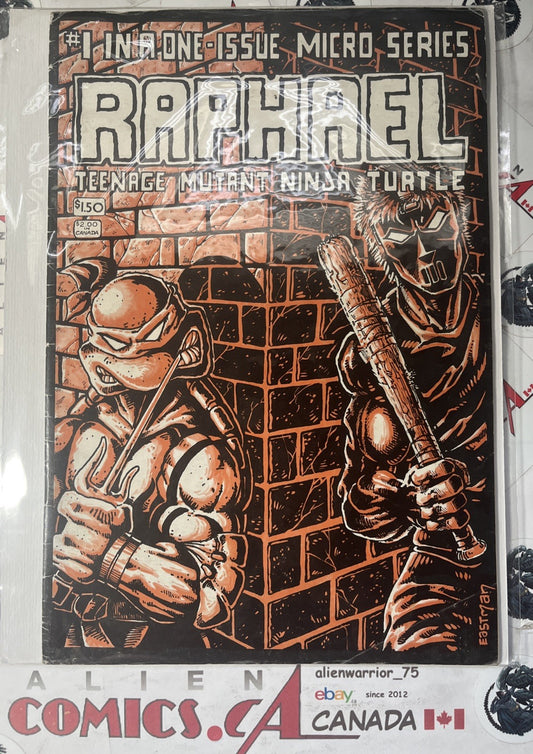 RAPHAEL 1: Teenage Mutant Ninja Turtle Mirage Studios 1985 1st app. Casey Jones