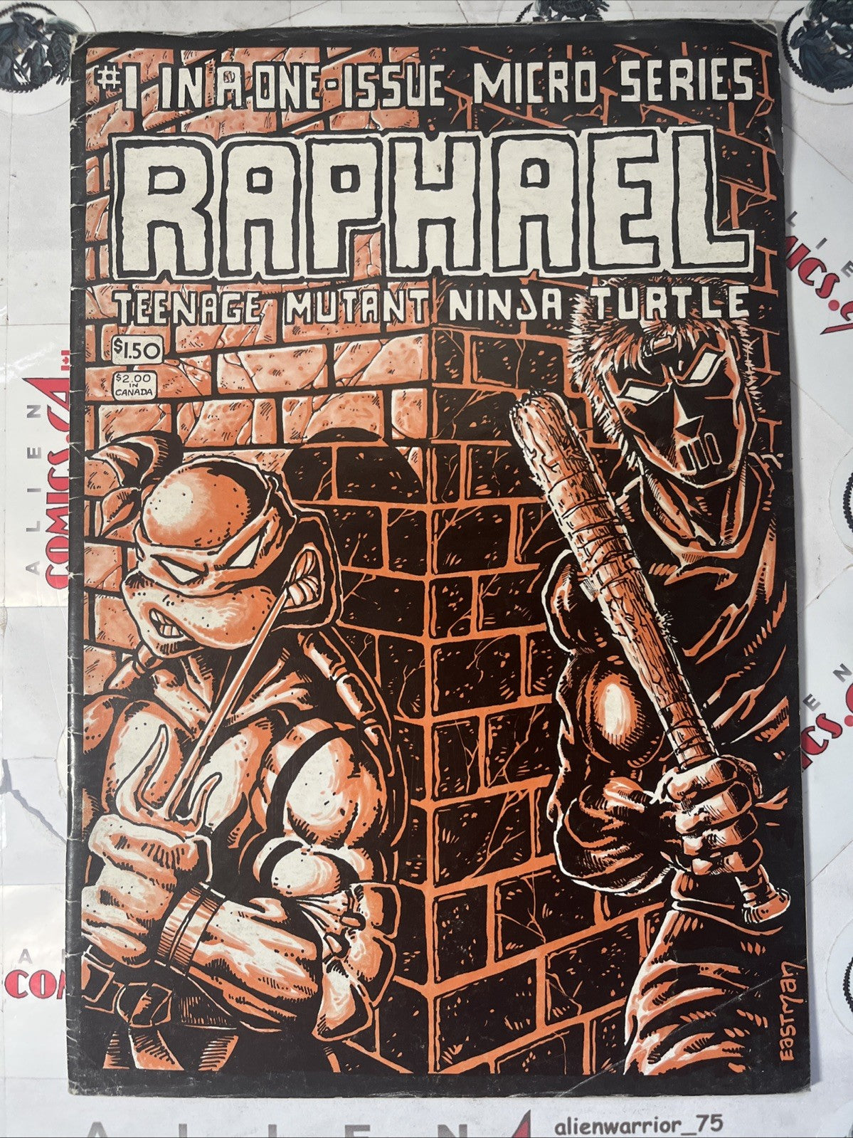 RAPHAEL 1: Teenage Mutant Ninja Turtle Mirage Studios 1985 1st app. Casey Jones